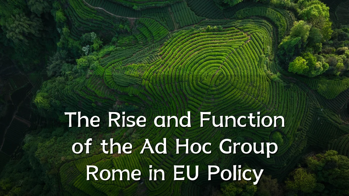 The Rise and Function of the Ad Hoc Group Rome in EU Policy