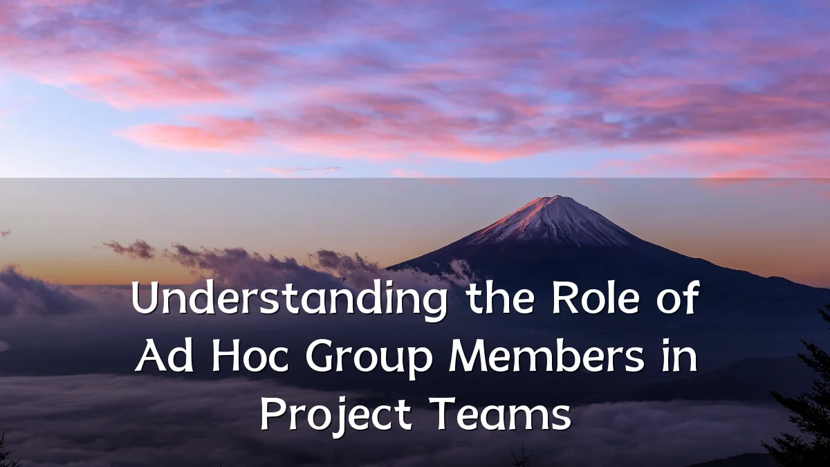 Understanding the Role of Ad Hoc Group Members in Project Teams