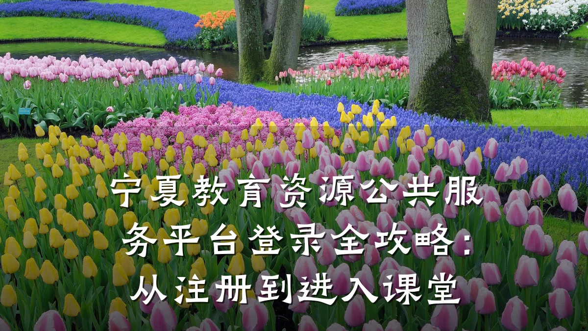 宁夏教育资源公共服务平台登录全攻略：从注册到进入课堂
