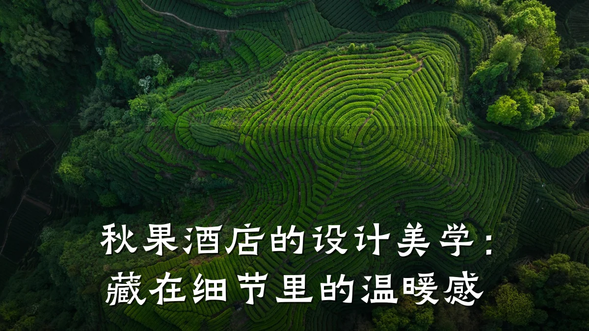 秋果酒店的设计美学:藏在细节里的温暖感