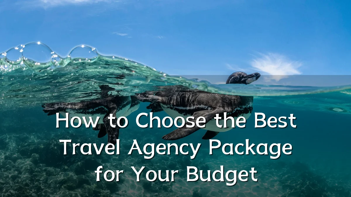 How to Choose the Best Travel Agency Package for Your Budget