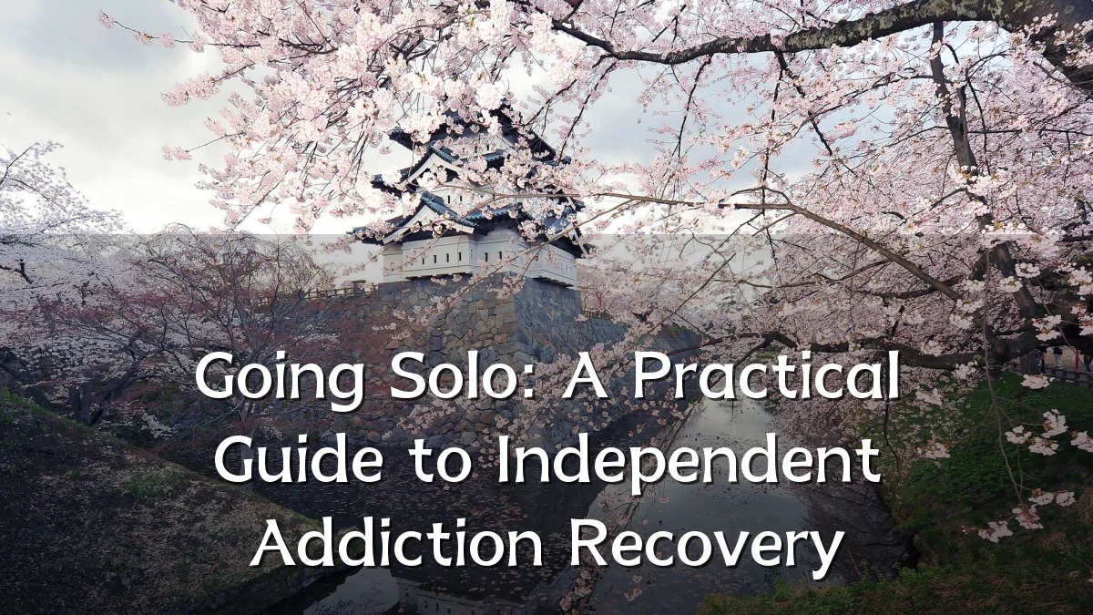 Going Solo: A Practical Guide to Independent Addiction Recovery
