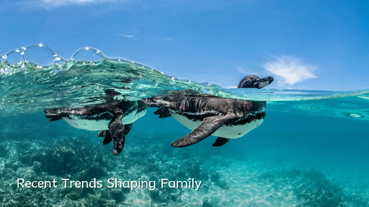 Recent Trends Shaping Family
