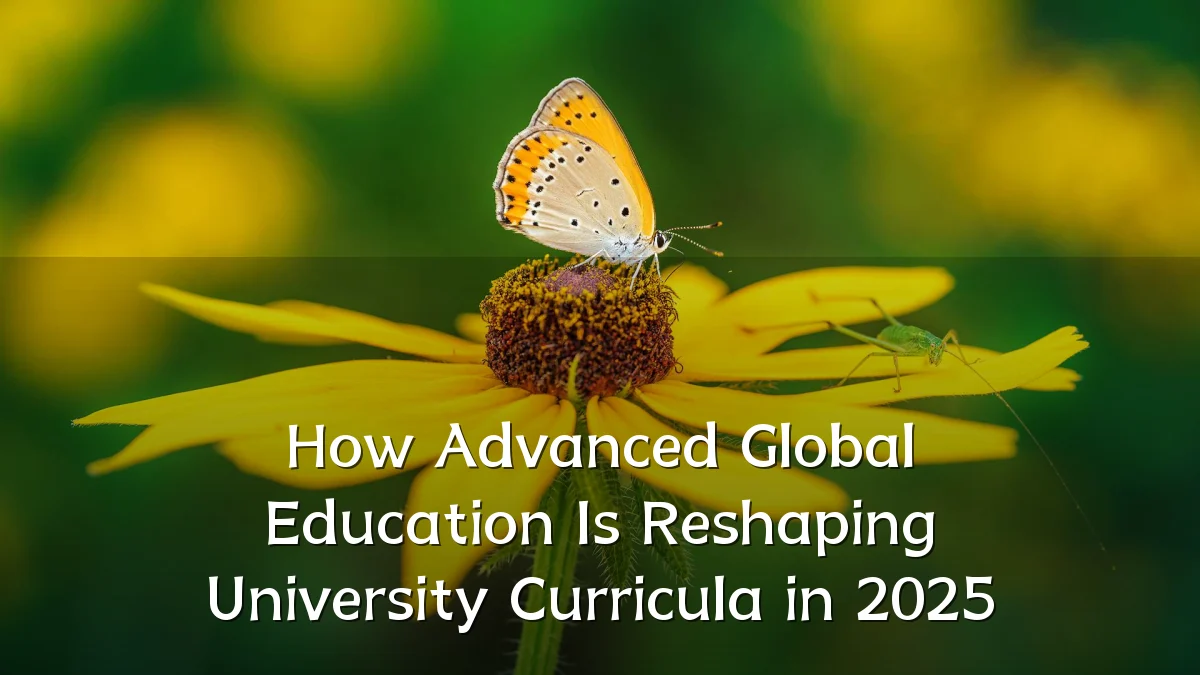 How Advanced Global Education Is Reshaping University Curricula in 2025