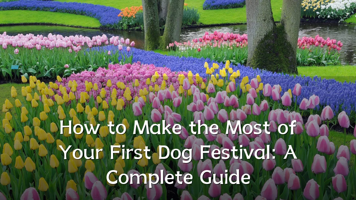 How to Make the Most of Your First Dog Festival: A Complete Guide