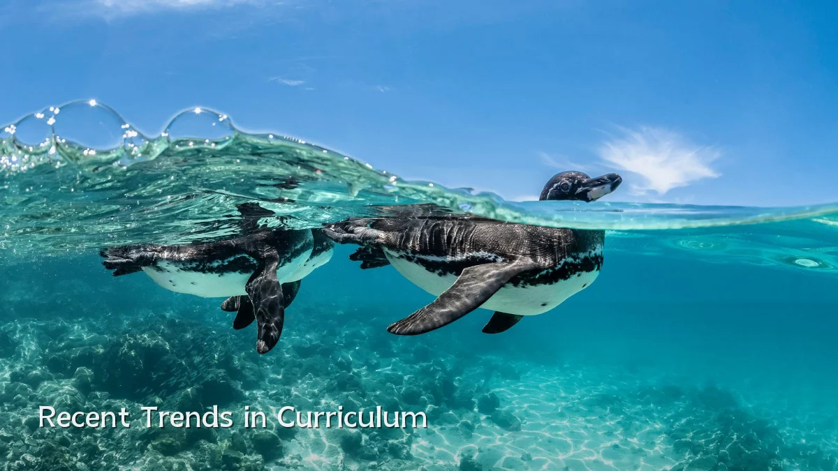 Recent Trends in Curriculum