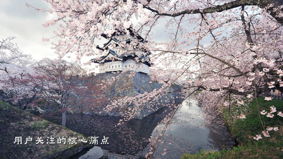 用户关注的核心痛点