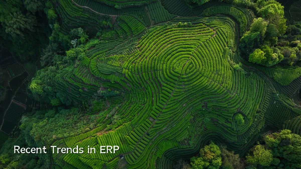 Recent Trends in ERP