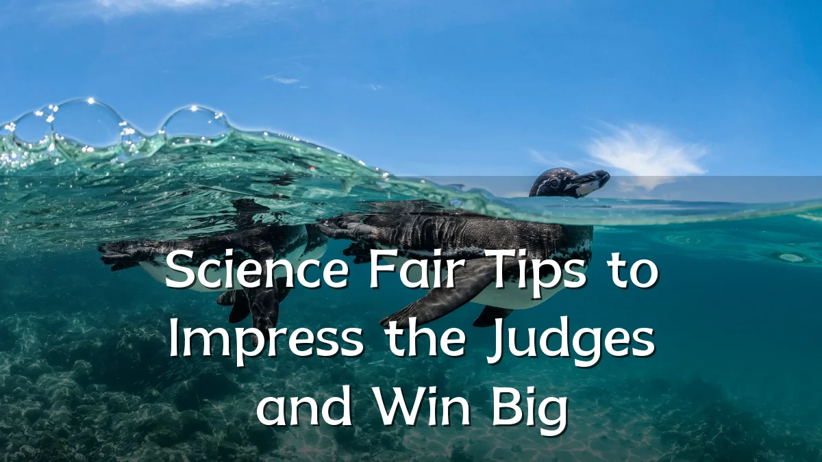 Science Fair Tips to Impress the Judges and Win Big