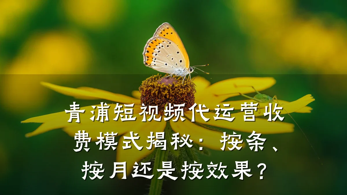 青浦短视频代运营收费模式揭秘：按条、按月还是按效果？