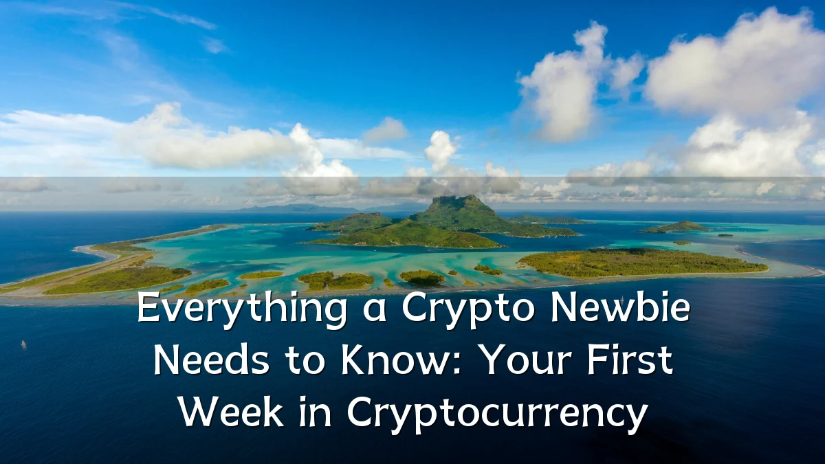 Everything a Crypto Newbie Needs to Know: Your First Week in Cryptocurrency