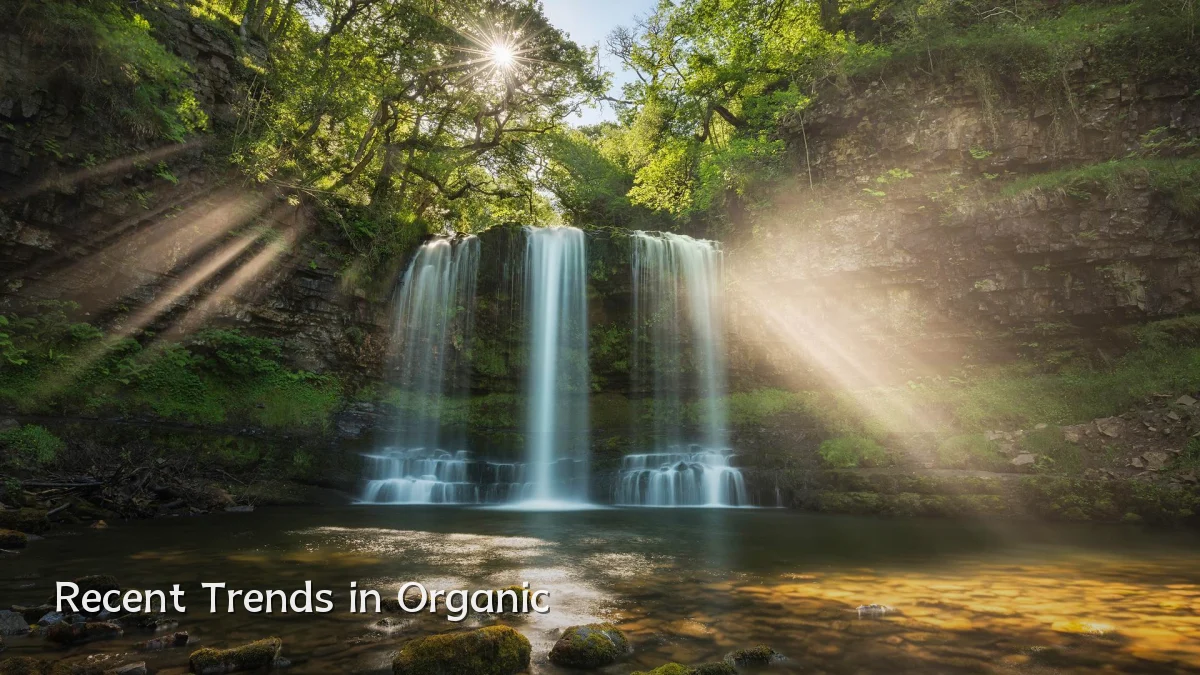 Recent Trends in Organic