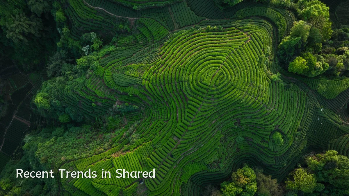 Recent Trends in Shared