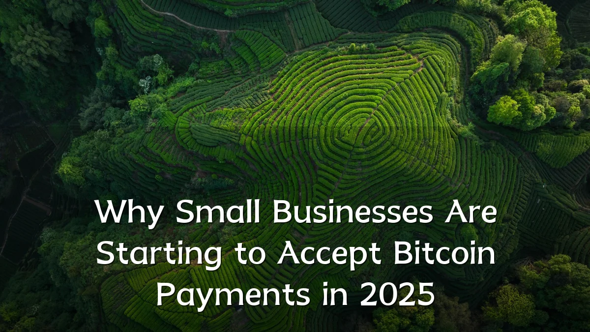 Why Small Businesses Are Starting to Accept Bitcoin Payments in 2025