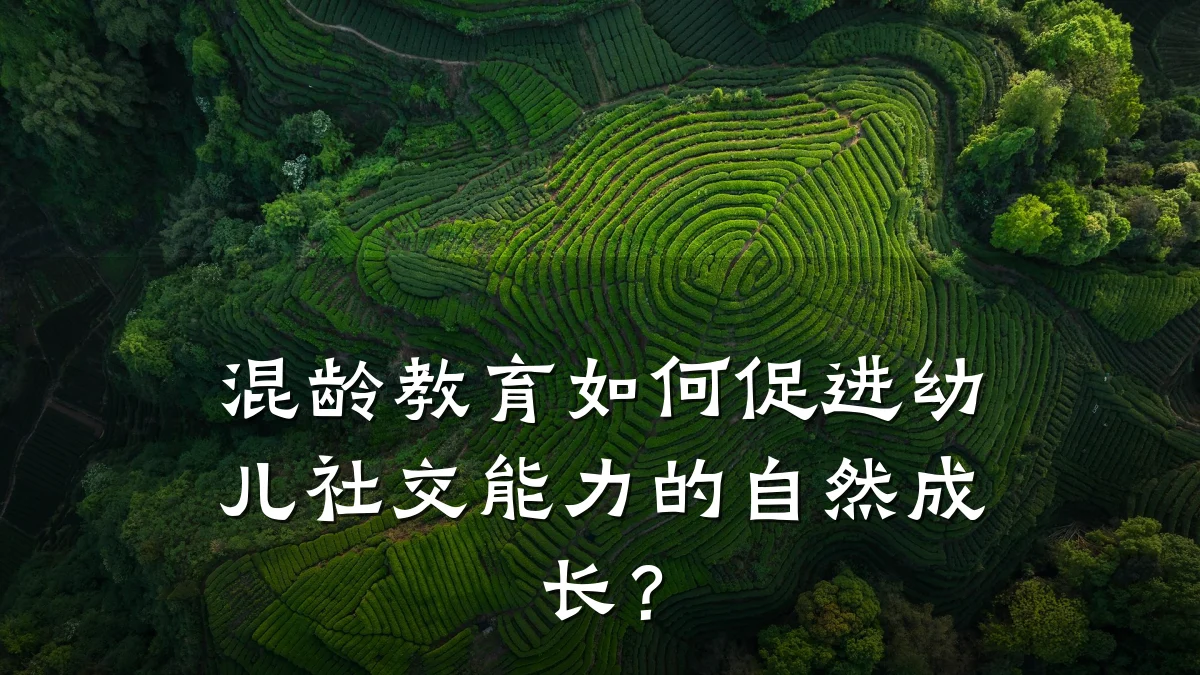 混龄教育如何促进幼儿社交能力的自然成长？