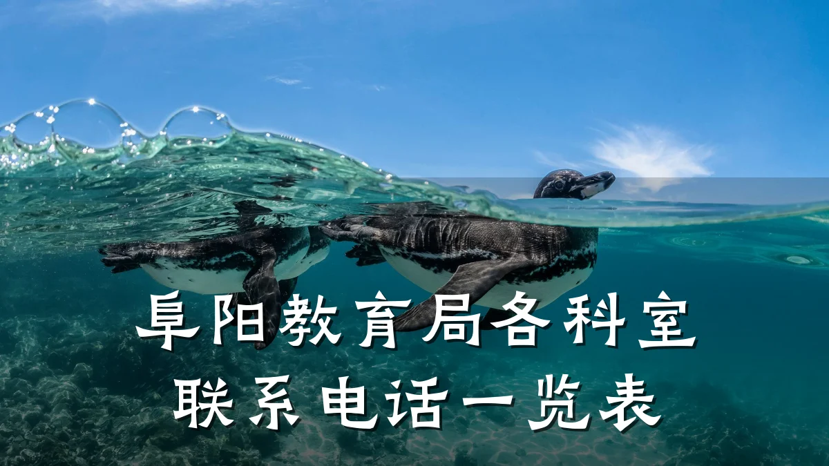 阜阳教育局各科室联系电话一览表