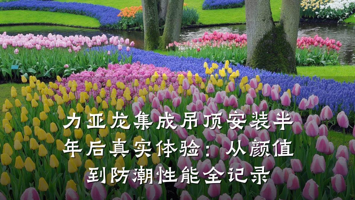 力亚龙集成吊顶安装半年后真实体验:从颜值到防潮性能全记录
