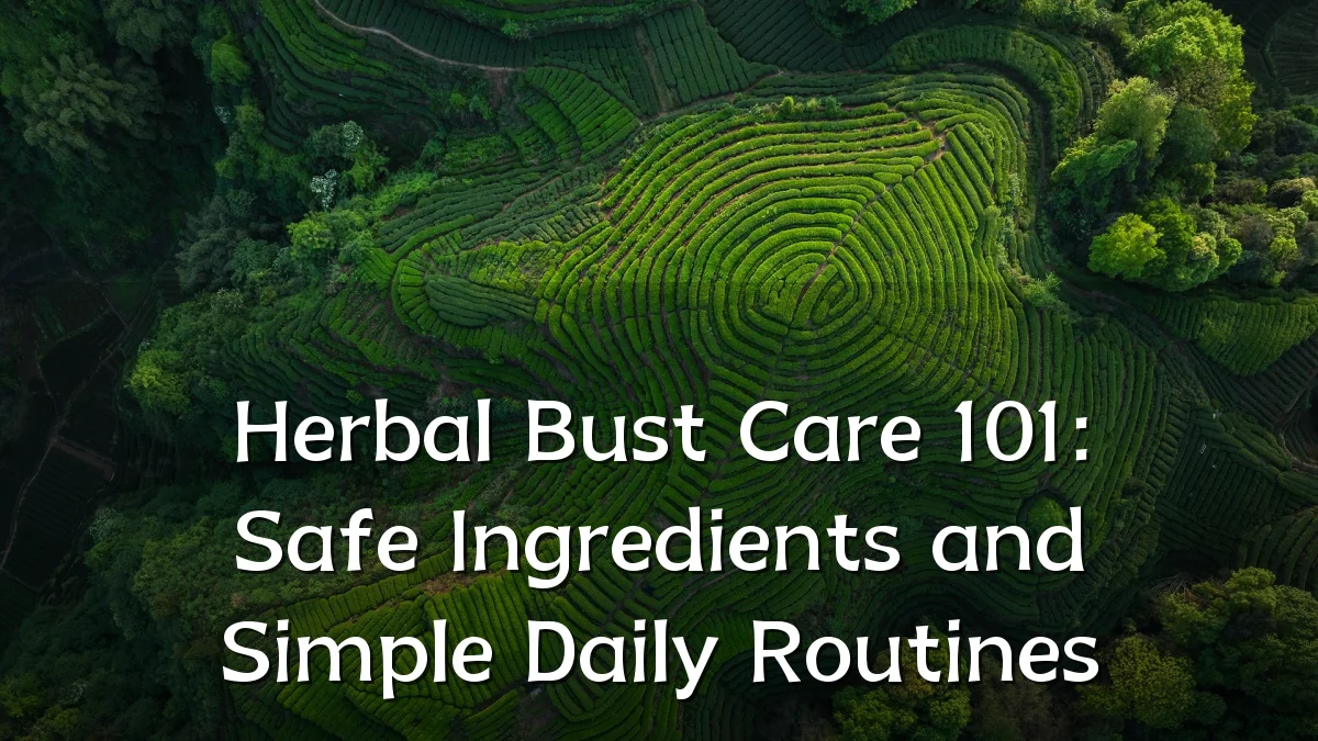 Herbal Bust Care 101: Safe Ingredients and Simple Daily Routines