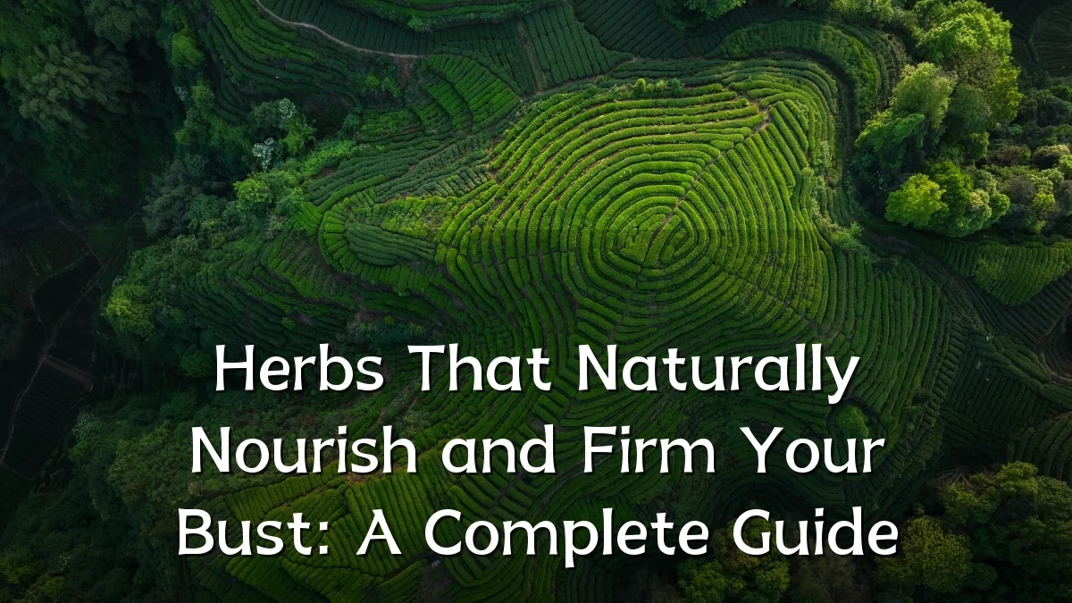 Herbs That Naturally Nourish and Firm Your Bust: A Complete Guide
