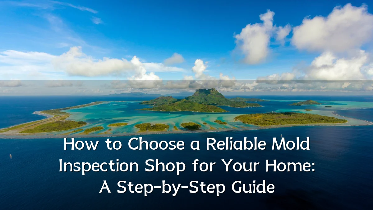 How to Choose a Reliable Mold Inspection Shop for Your Home: A Step-by-Step Guide