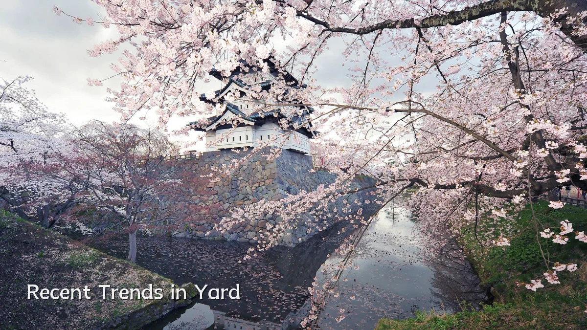 Recent Trends in Yard