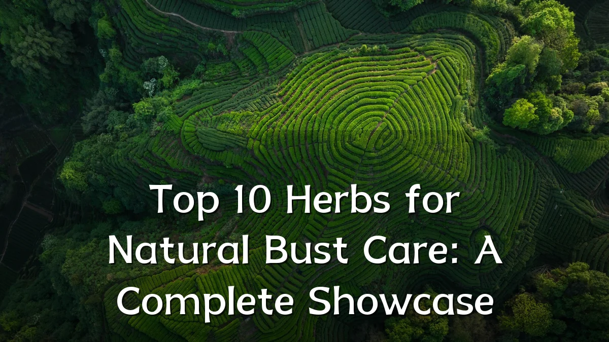 Top 10 Herbs for Natural Bust Care: A Complete Showcase